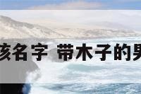 带木子的男孩名字 带木子的男孩名字大全