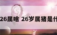 24属猪26属啥 26岁属猪是什么星座