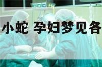 孕妇梦见各种小蛇 孕妇梦见各种小蛇什么意思