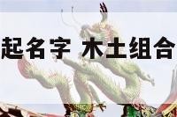 男宝宝以土木起名字 木土组合的男孩名字大全集