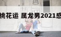 属龙男生桃花运 属龙男2021感情和桃花运