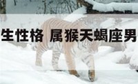 猴天蝎座男生性格 属猴天蝎座男人优点和缺点