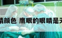 鹰眼眼睛颜色 鹰眼的眼睛是天生的吗