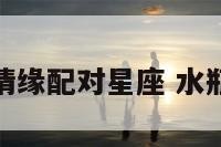 水瓶最佳情缘配对星座 水瓶最佳伴侣