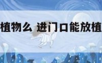 进门口能放植物么 进门口能放植物么风水好吗