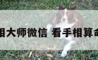 在线看手相大师微信 看手相算命大师微信