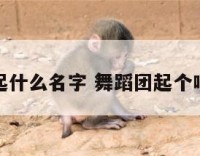 舞蹈团应起什么名字 舞蹈团起个响亮的名字