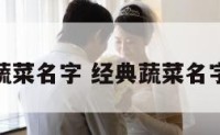 经典蔬菜名字 经典蔬菜名字大全