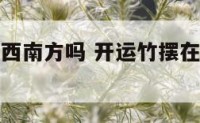 开运竹能摆西南方吗 开运竹摆在家里什么位置好