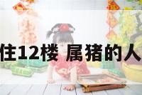 属猪人适合住12楼 属猪的人住12楼好吗