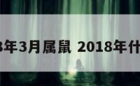 2018年3月属鼠 2018年什么鼠