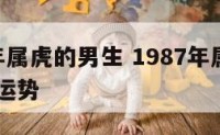 1987年属虎的男生 1987年属虎男2021年运势