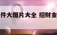 招财金蟾摆件大图片大全 招财金蟾摆放最佳位置