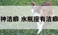 水瓶座的精神洁癖 水瓶座有洁癖和强迫症吗