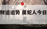 属蛇人今日财运运势 属蛇人今日财运运势运程
