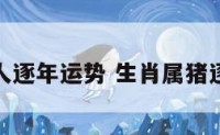 属猪生人逐年运势 生肖属猪逐年运势