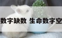 生命数字缺数 生命数字空缺数