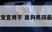 属狗男宝宝宜用字 属狗男孩最吉利的字