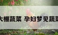 怀孕梦见大棚蔬菜 孕妇梦见蔬菜生长旺盛