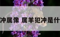 属羊犯冲属像 属羊犯冲是什么意思