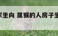 属猴人居家坐向 属猴的人房子坐啥朝向,哪楼层
