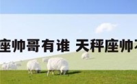 天秤座帅哥有谁 天秤座帅不帅?