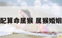 婚姻相配算命属猴 属猴婚姻和命运