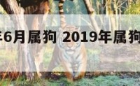 2019年6月属狗 2019年属狗的怎么样