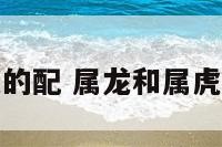 属龙和属虎的配 属龙和属虎的合不合适