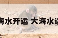 大海水开运 大海水运势