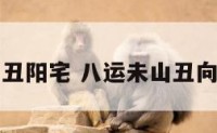 八运末山丑阳宅 八运未山丑向阳宅布局