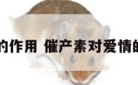 爱情的作用 催产素对爱情的作用