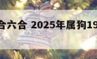 属狗三合六合 2025年属狗1994年运势