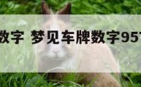 梦见车牌数字 梦见车牌数字957是什么意思