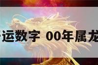 00年属龙开运数字 00年属龙的幸运数字