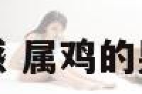 属鸡的男人情感 属鸡的男人情感怎么样