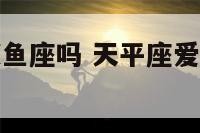 天平座爱过双鱼座吗 天平座爱上一个人会怎么样呢