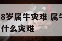 2020年58岁属牛灾难 属牛在2020年会遇到什么灾难