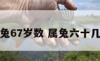 属兔67岁数 属兔六十几岁