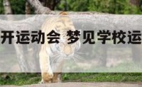 梦见学生要开运动会 梦见学校运动会开场表演