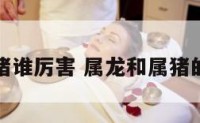 属龙和属猪谁厉害 属龙和属猪的合得来吗