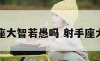 射手座大智若愚吗 射手座大智慧