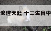 什么动物是浪迹天涯 十二生肖中浪迹天涯的动物