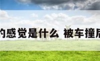 被车撞的感觉是什么 被车撞后的感觉