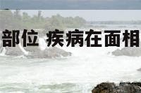 疾病在面相中部位 疾病在面相中部位代表什么