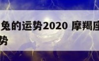 摩羯座属兔的运势2020 摩羯座生肖兔2021年运势