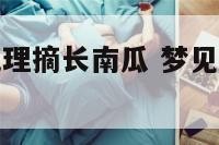 梦见别人在地理摘长南瓜 梦见看到别人摘南瓜