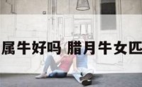 女腊月属牛好吗 腊月牛女匹配属相