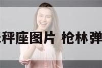 枪林弹雨天秤座图片 枪林弹雨游戏图片