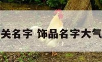 饰品有关名字 饰品名字大气又好记